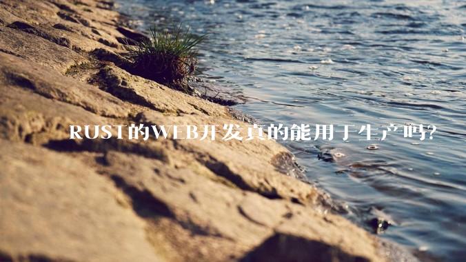 RUST的WEB开发真的能用于生产吗？