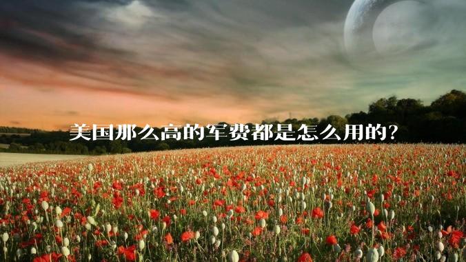 美国那么高的军费都是怎么用的？