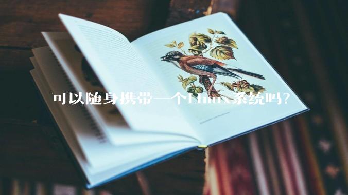可以随身携带一个Linux系统吗？